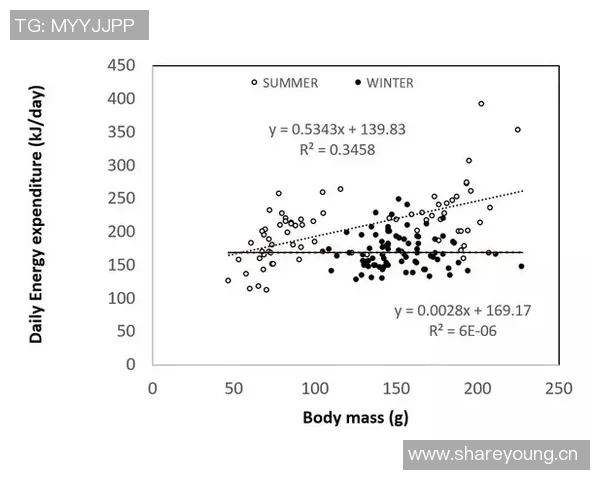 王秋明谈高原适应性问题强调自我反思与客观因素的平衡分析